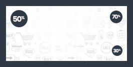 shop13_home_banner2